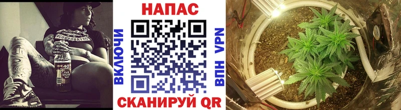 Шишки марихуана сатива  Купить где  Барабинск 